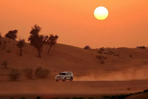 Red Dunes Morning Desert Safari