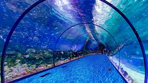 National Aquarium Abu Dhabi