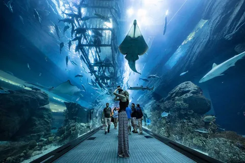 Dubai Aquarium & Under Water Zoo